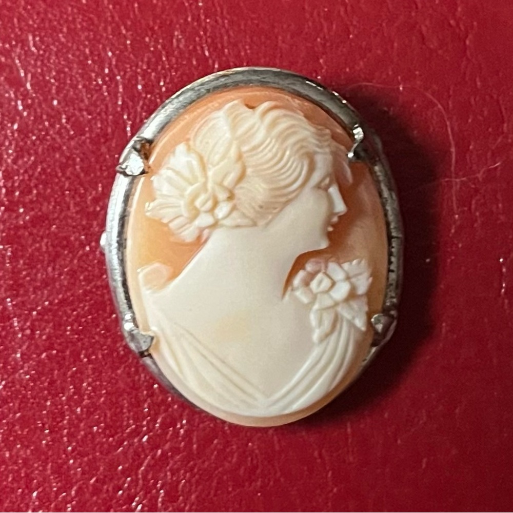 Elegant Silver and Cream Cameo Brooch